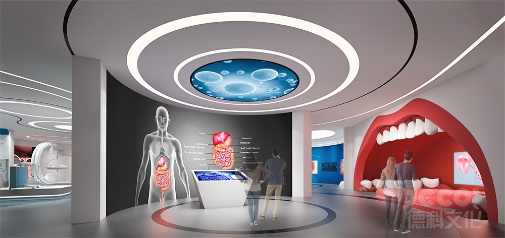 科技館設(shè)計如何劃分展區(qū)（如物理、生物、航天等）？